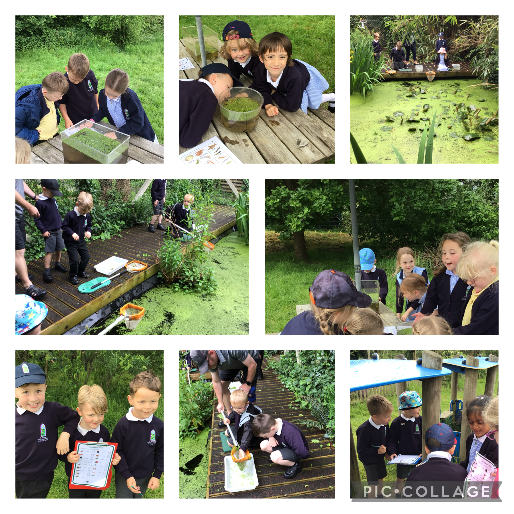Year One and Two went pond dipping and minibeast hunting.